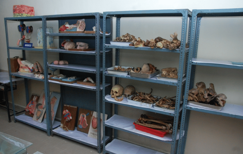 Karnataka Ayurveda Medical College Infrastructure photo 7